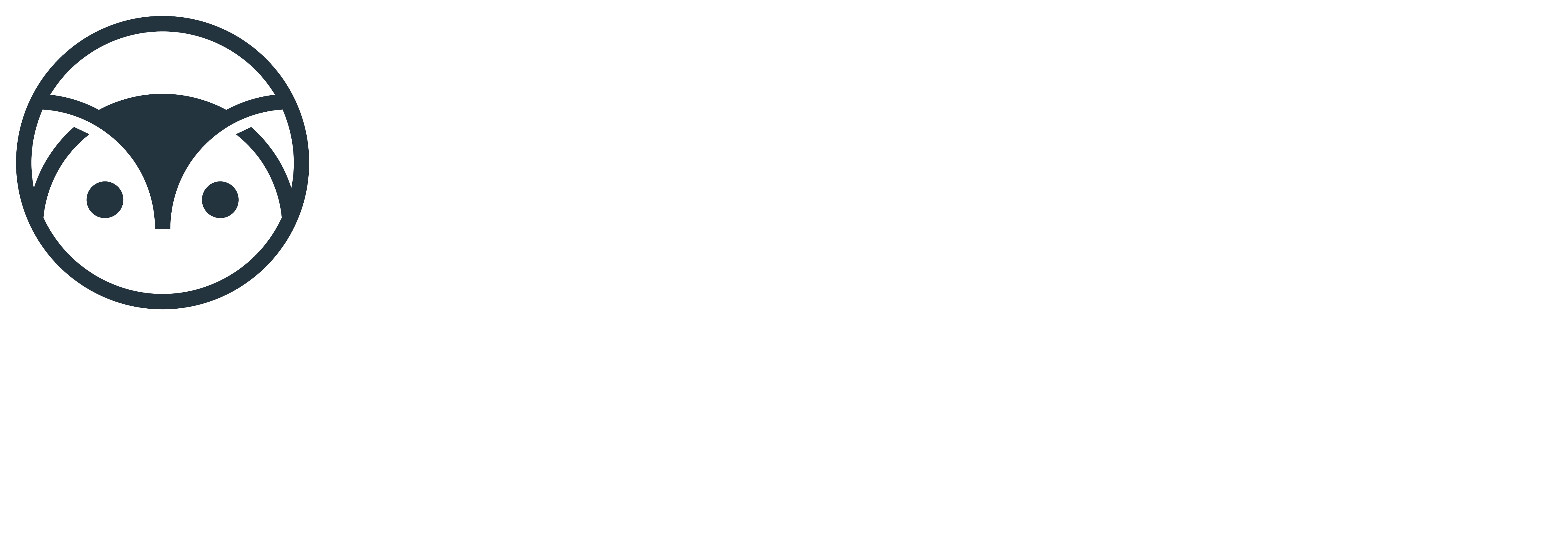 Moneta Health, Brain Health Program